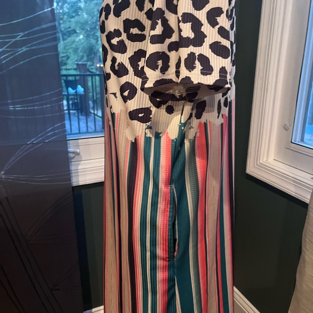 Crazy Train Leopard and Striped Above Knee Dress - Picture 5 of 9